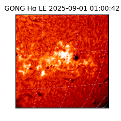 gong - 2025-09-01T01:00:42