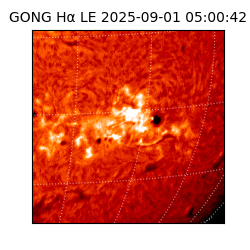 gong - 2025-09-01T05:00:42