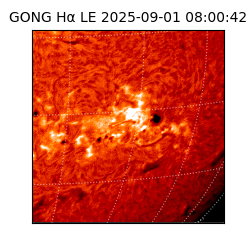 gong - 2025-09-01T08:00:42