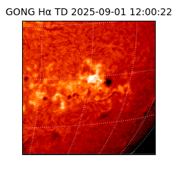 gong - 2025-09-01T12:00:22