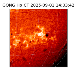 gong - 2025-09-01T14:03:42