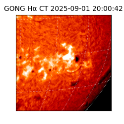 gong - 2025-09-01T20:00:42