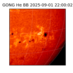 gong - 2025-09-01T22:00:02