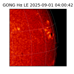gong - 2025-09-01T04:00:42
