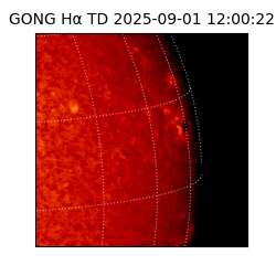 gong - 2025-09-01T12:00:22
