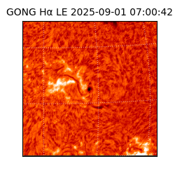 gong - 2025-09-01T07:00:42
