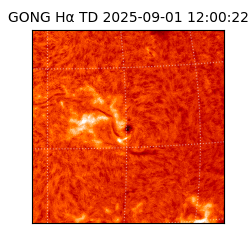 gong - 2025-09-01T12:00:22