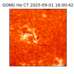 gong - 2025-09-01T16:00:42