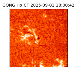 gong - 2025-09-01T18:00:42