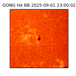 gong - 2025-09-01T23:00:02