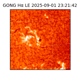 gong - 2025-09-01T23:21:42