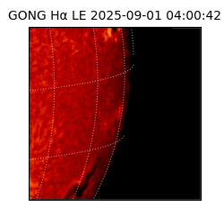 gong - 2025-09-01T04:00:42