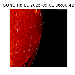 gong - 2025-09-01T06:00:42