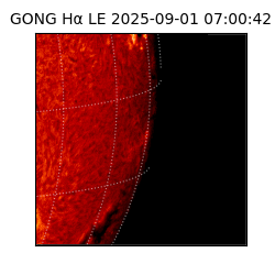 gong - 2025-09-01T07:00:42