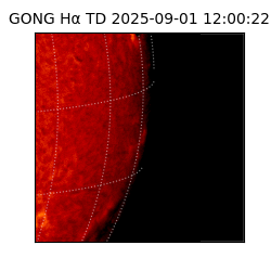 gong - 2025-09-01T12:00:22