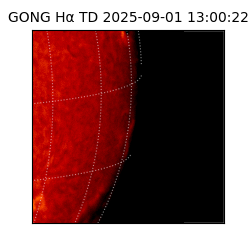 gong - 2025-09-01T13:00:22