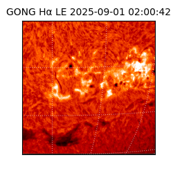 gong - 2025-09-01T02:00:42