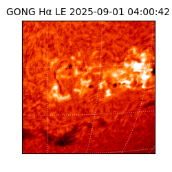 gong - 2025-09-01T04:00:42