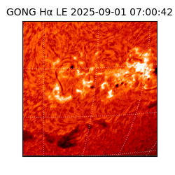 gong - 2025-09-01T07:00:42