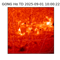 gong - 2025-09-01T10:00:22