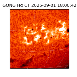 gong - 2025-09-01T18:00:42
