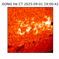 gong - 2025-09-01T19:00:42