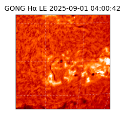 gong - 2025-09-01T04:00:42