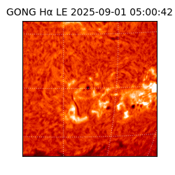 gong - 2025-09-01T05:00:42