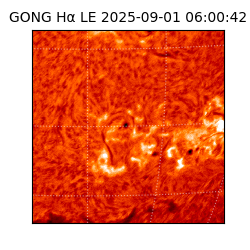 gong - 2025-09-01T06:00:42