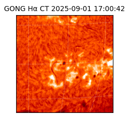 gong - 2025-09-01T17:00:42