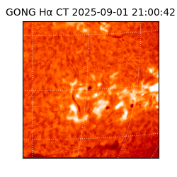 gong - 2025-09-01T21:00:42