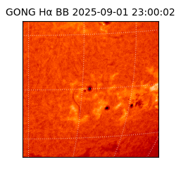 gong - 2025-09-01T23:00:02