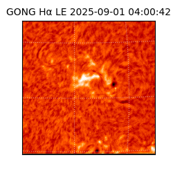 gong - 2025-09-01T04:00:42