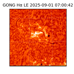 gong - 2025-09-01T07:00:42
