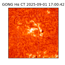 gong - 2025-09-01T17:00:42