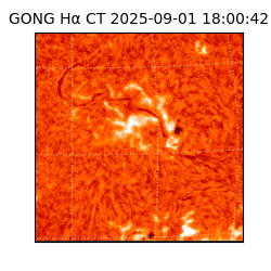 gong - 2025-09-01T18:00:42