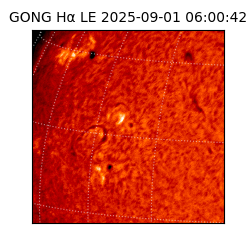 gong - 2025-09-01T06:00:42