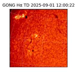 gong - 2025-09-01T12:00:22
