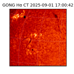 gong - 2025-09-01T17:00:42