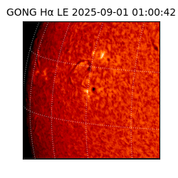 gong - 2025-09-01T01:00:42