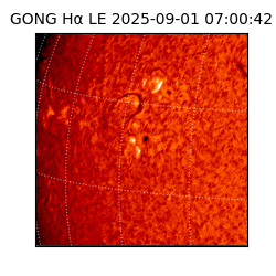 gong - 2025-09-01T07:00:42