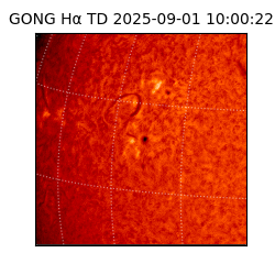 gong - 2025-09-01T10:00:22
