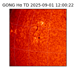 gong - 2025-09-01T12:00:22