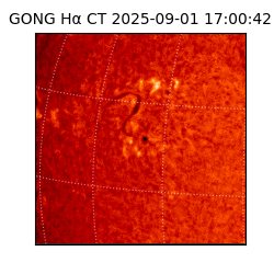 gong - 2025-09-01T17:00:42