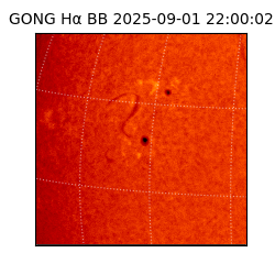 gong - 2025-09-01T22:00:02