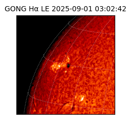 gong - 2025-09-01T03:02:42