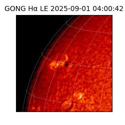 gong - 2025-09-01T04:00:42