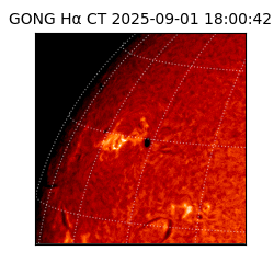gong - 2025-09-01T18:00:42