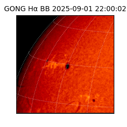 gong - 2025-09-01T22:00:02