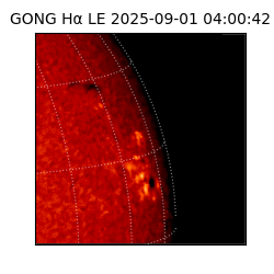 gong - 2025-09-01T04:00:42